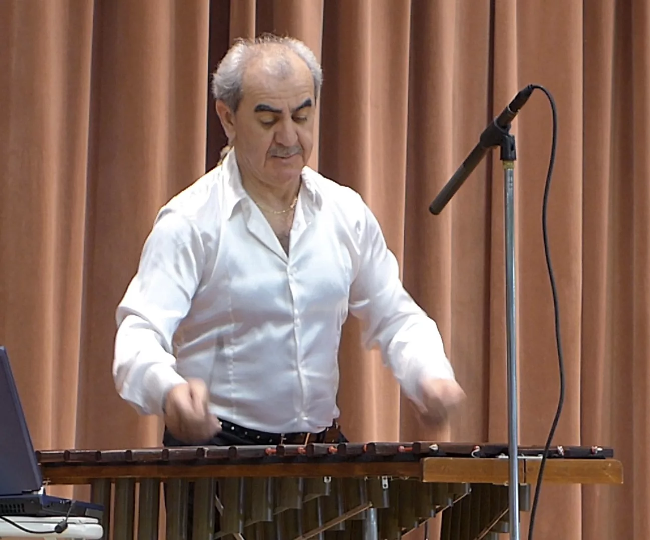 Concert with Ukrainian Xylophonist, Roman Lankios